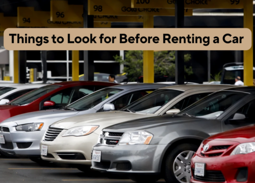 Things to Look for Before Renting a Car In Qatar